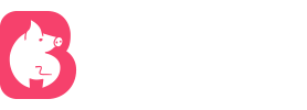 九一成人之夜